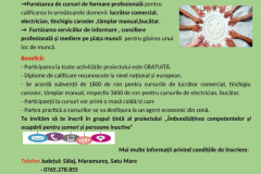 Anunt_page-0002