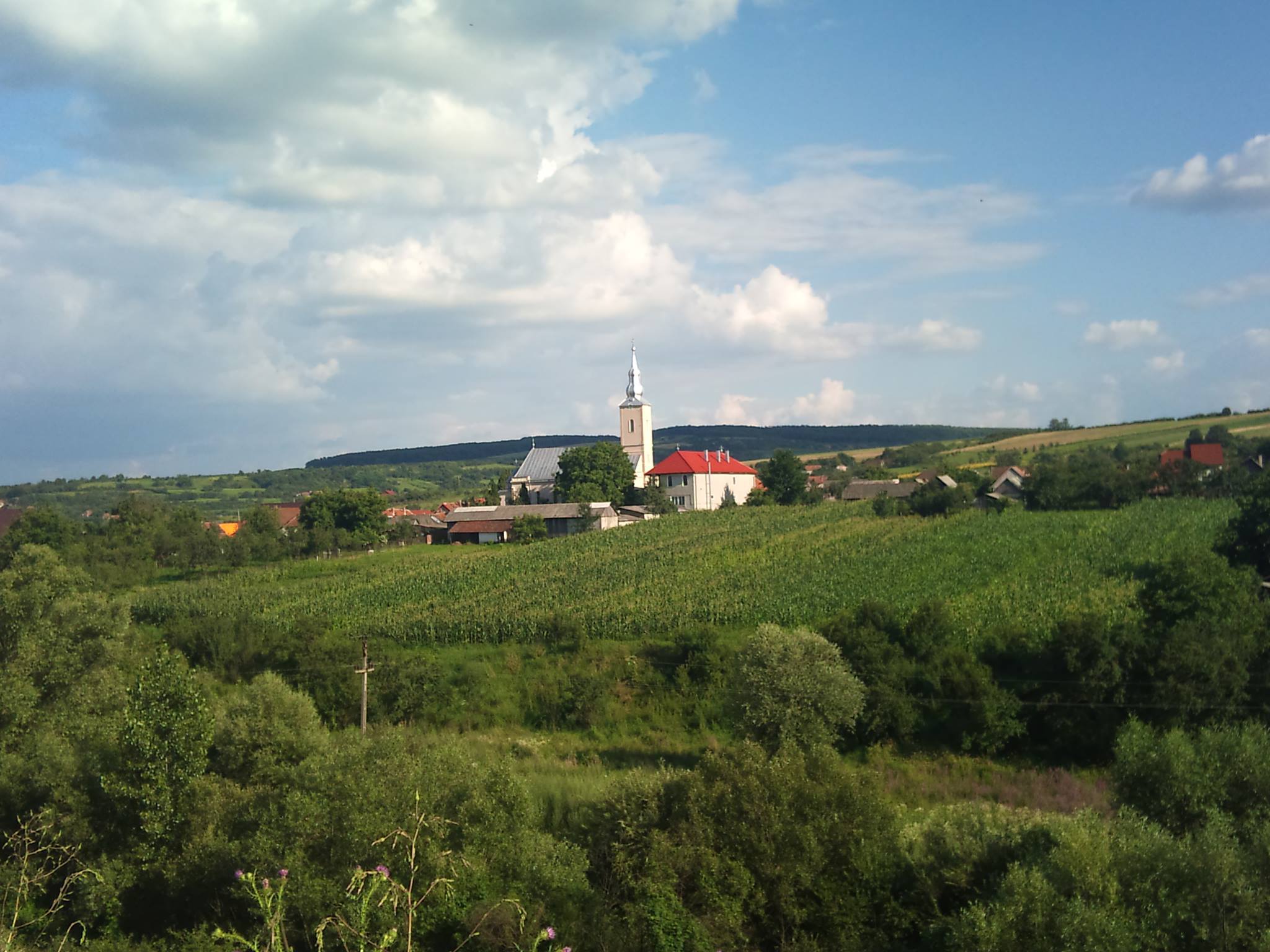 ALTE DOCUMENTE - Comuna Marca